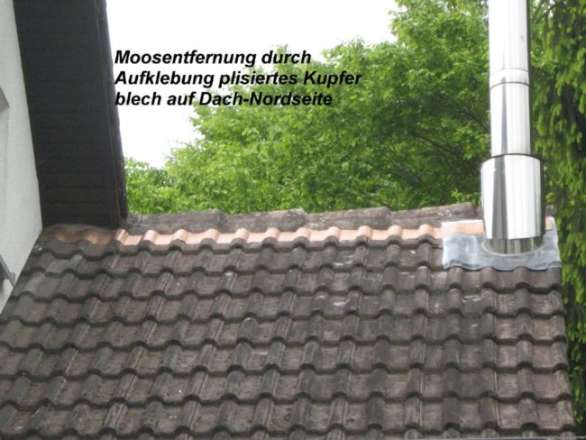 Moosentfernung durch Aufklebung plisiertes Kupferblech